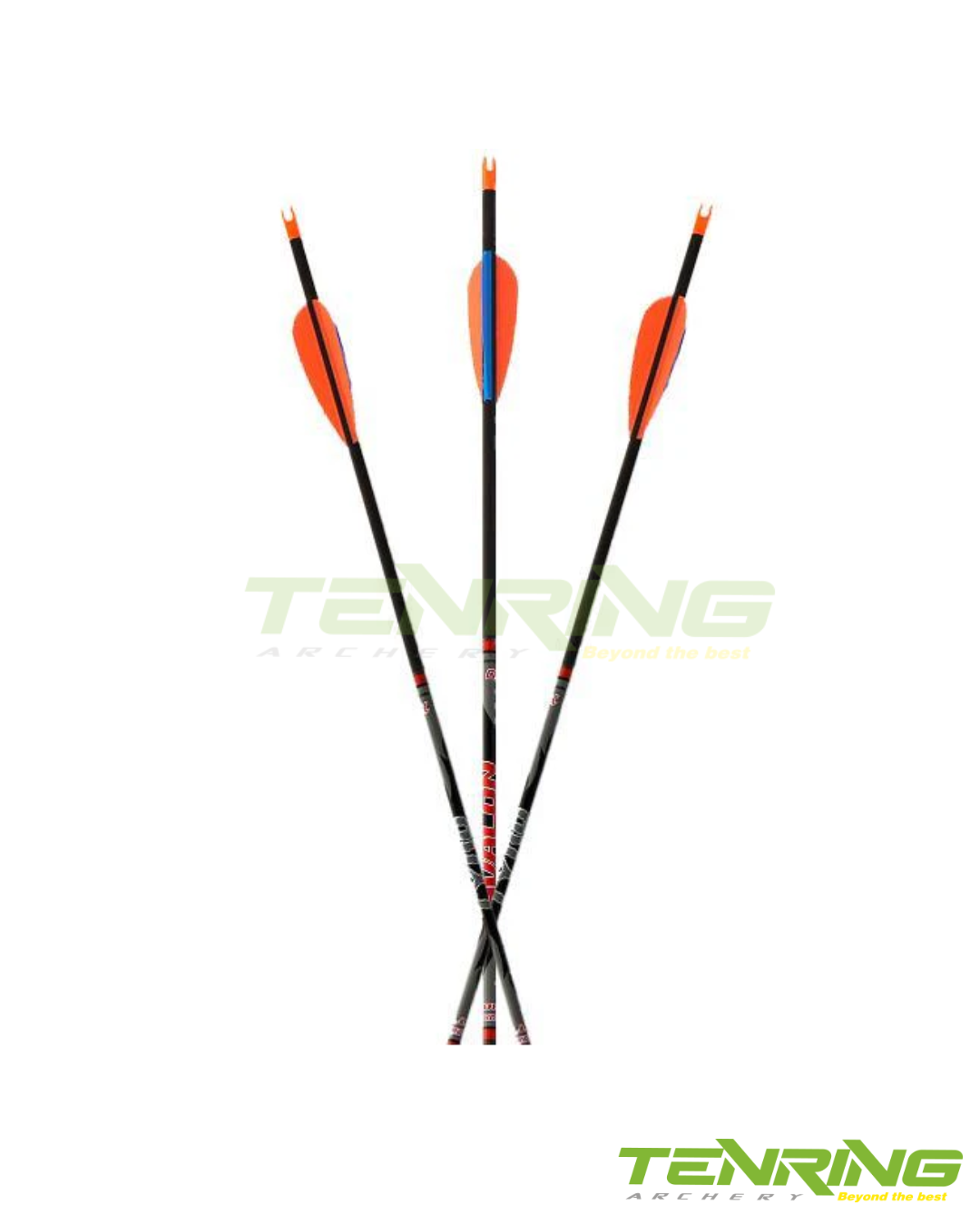 avalon tyro arrows 2