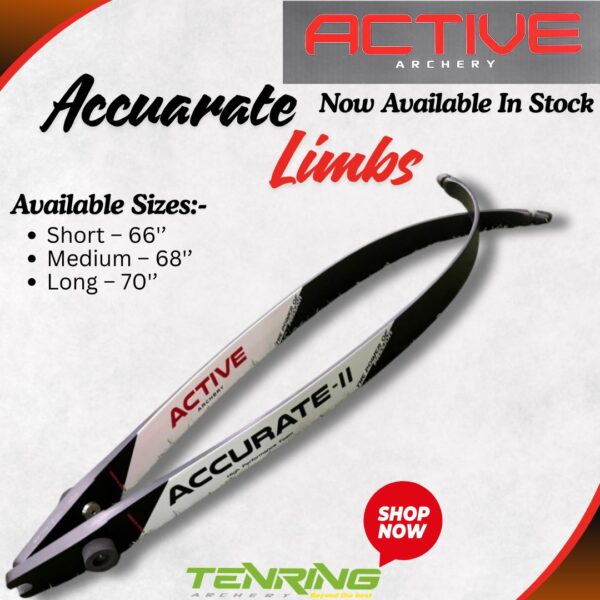 ACTIVE | ACCURATE II | FOAM | LIMBS | 2026 | RECURVE BOW