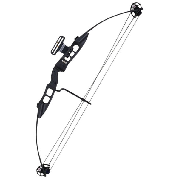 COMPOUND BOW AND ACCESSORIES – Page 8 – TENRING ARCHERY
