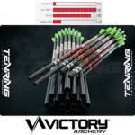 VICTORY ARCHERY | VAP SPORTS | SHAFTS WITH NOCKS AND POINT | DOZ | ARROWS